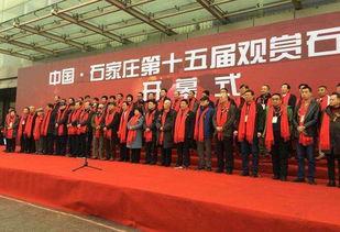 石家庄近期爆料新闻事件,揭秘背后真相与影响 第1张 石家庄近期爆料新闻事件,揭秘背后真相与影响 第1张